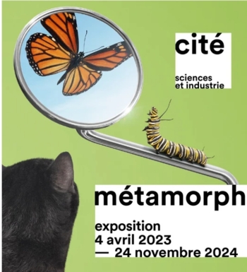 Exposition Métamorphoses à la Cité des Sciences