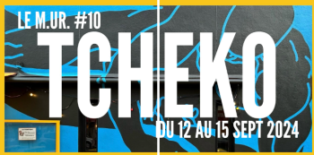 TCHEKO sur le M.U.R. Vannes #10