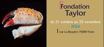 Fondation Taylor du 31 octobre au 23 novembre